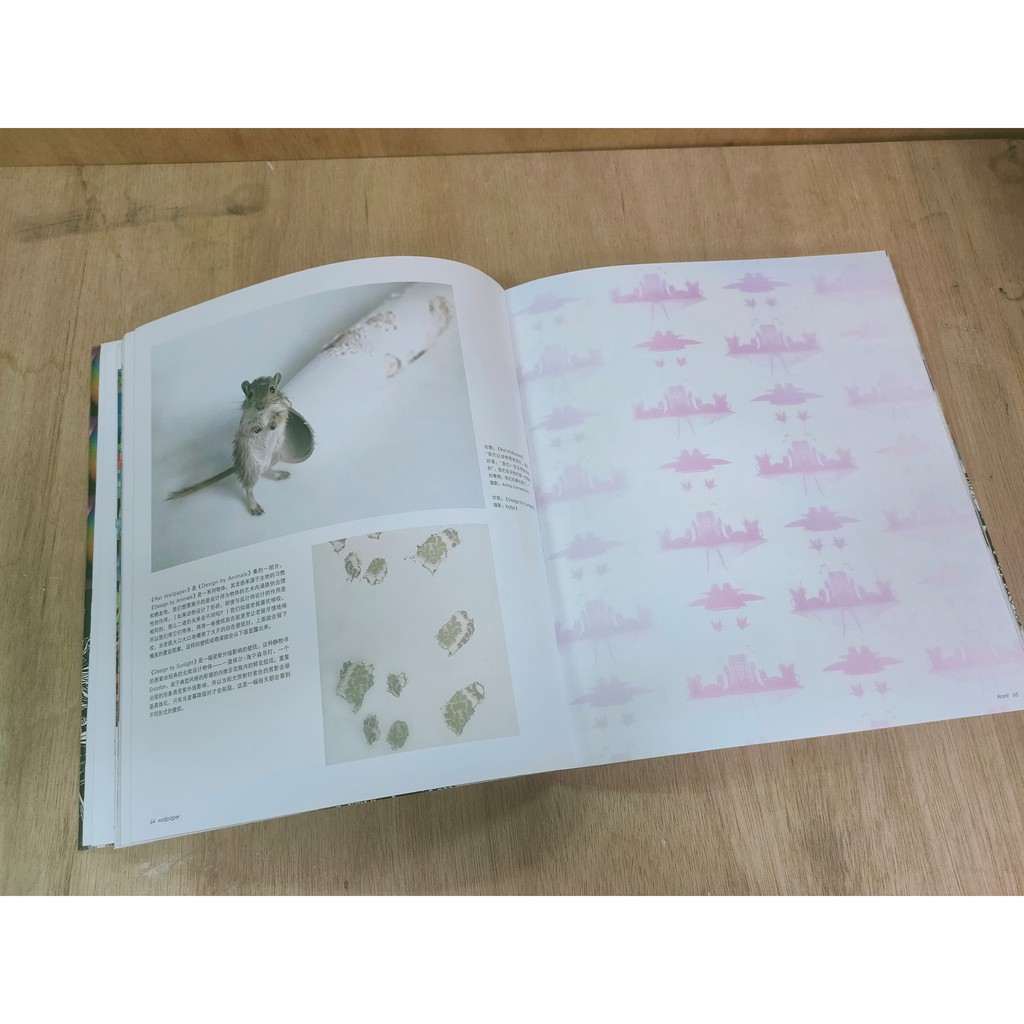 《壁紙Wall Paper 》:圖片 2