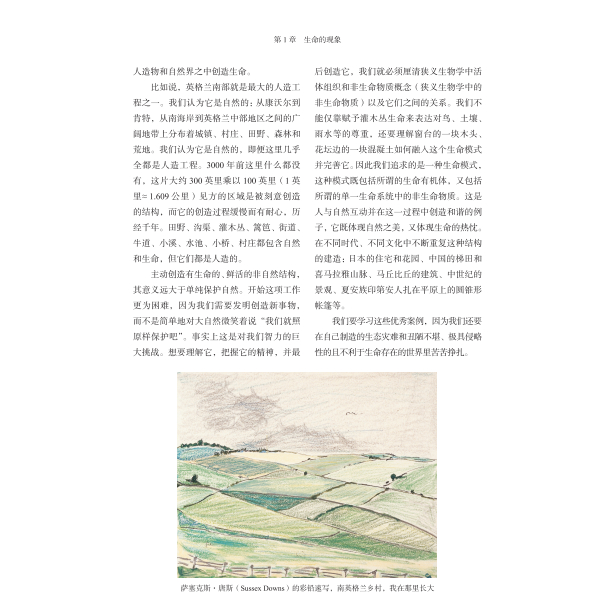 《第一卷 生命的現象》:圖片 8