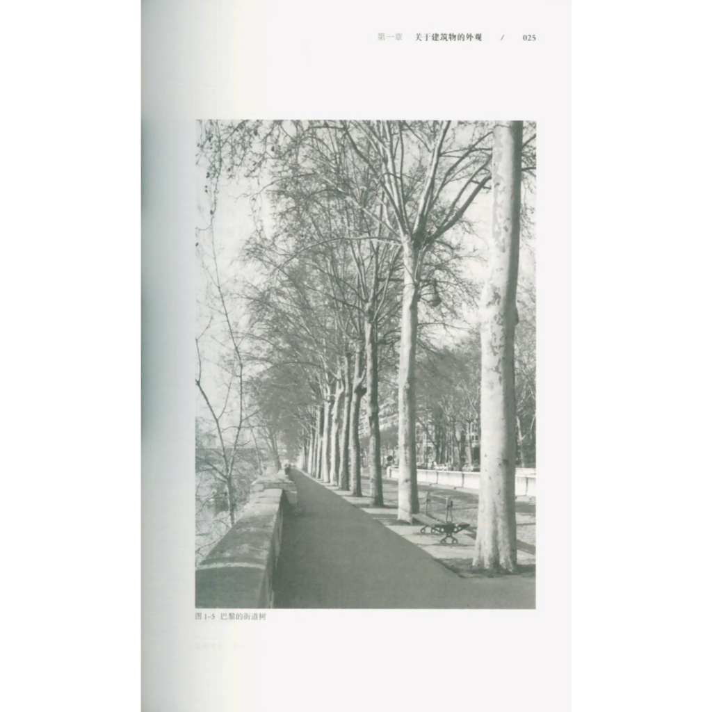 《隱藏的秩序》:圖片 5