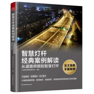 《智慧燈桿經典案例解讀 : 從道路照明到智慧燈桿》